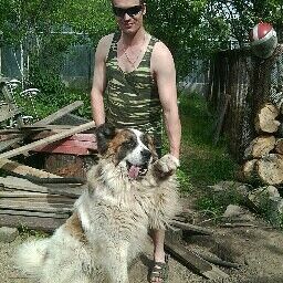 aleks00000485@gmail.com